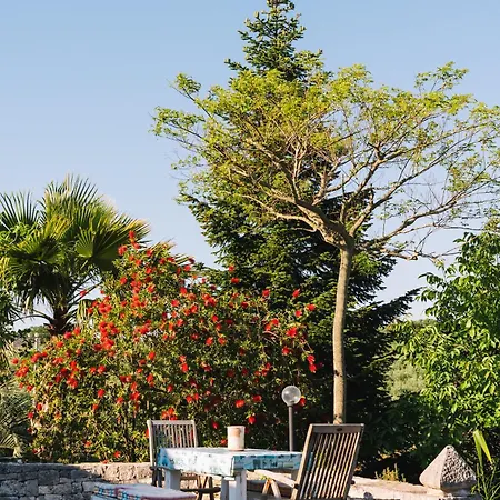 Trulli Macchia D'itria